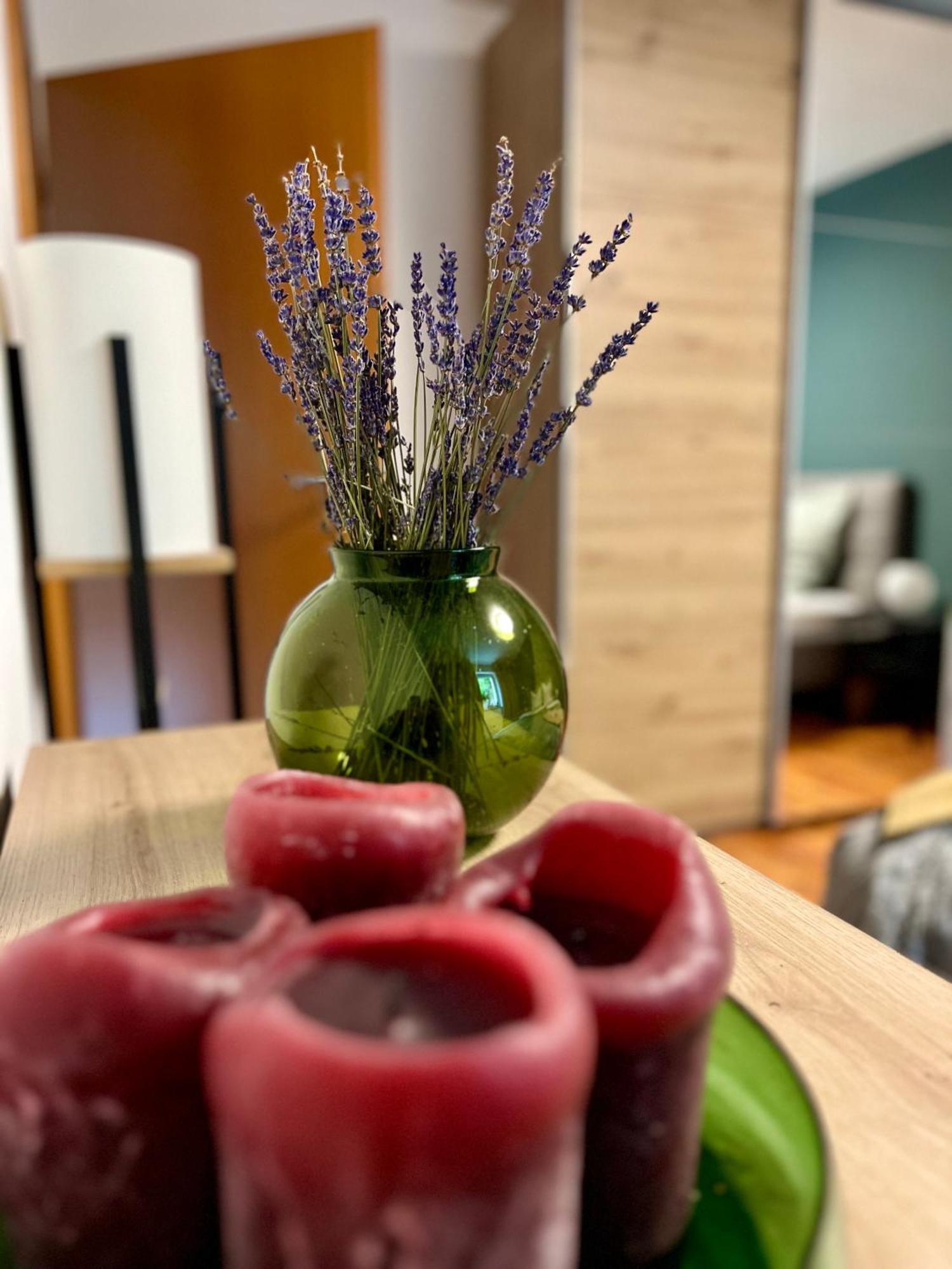Im Schwarzwald Apartment Sankt Georgen im Schwarzwald Ngoại thất bức ảnh